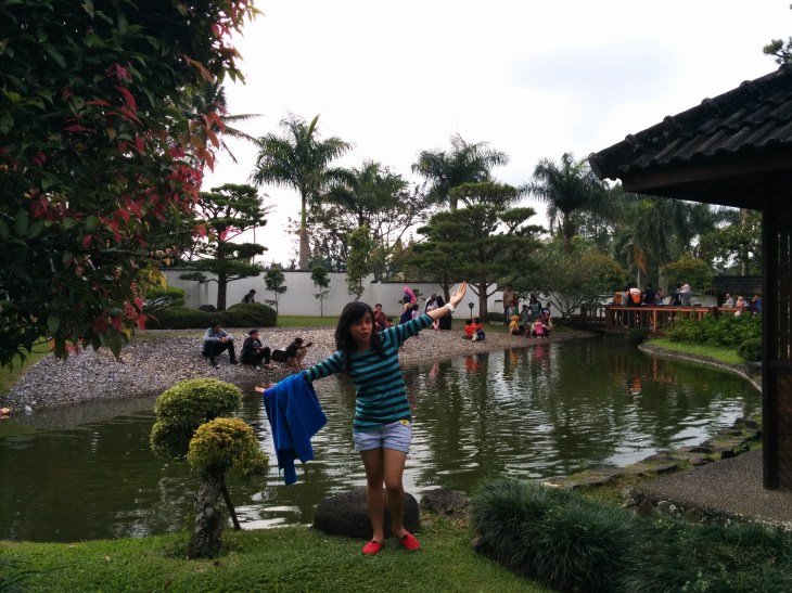 Pond - Japanese Garden